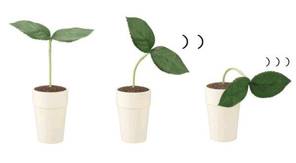 Audient Robot Plant