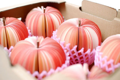 Fruit Notepad