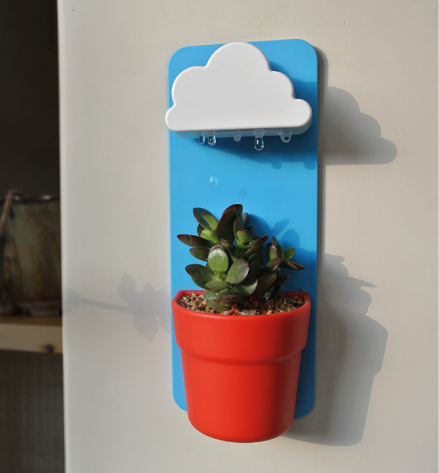 Rainy Pot